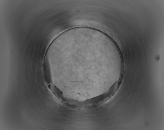 X0000089381529200707131648