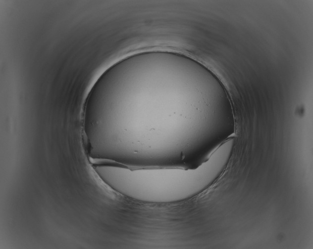 X0000089381532200707131648