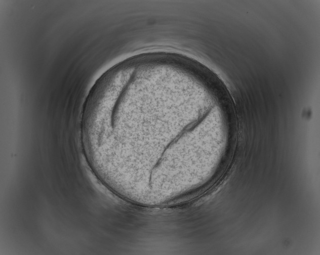 X0000089381534200707131648