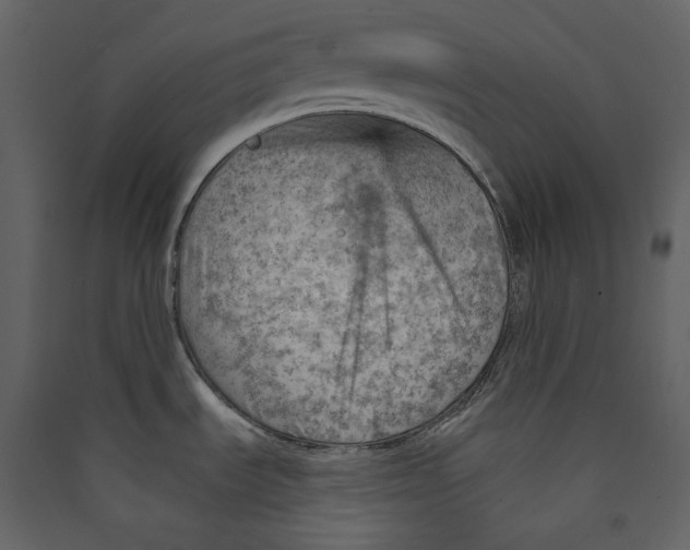 X0000089381535200707131648