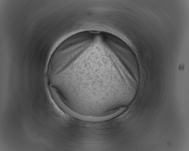 X0000089381536200707131648