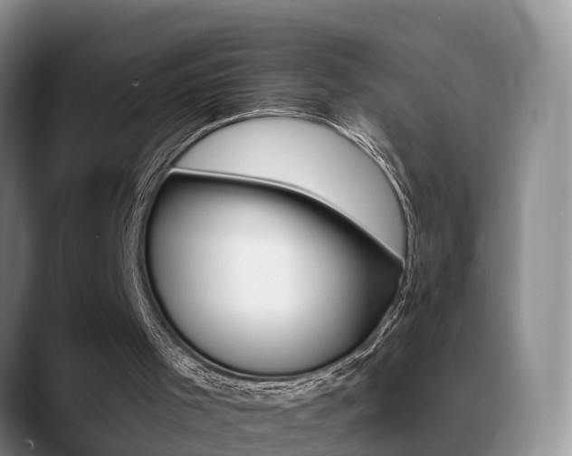 X0000089390001200706150940