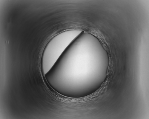 X0000089390003200706150940