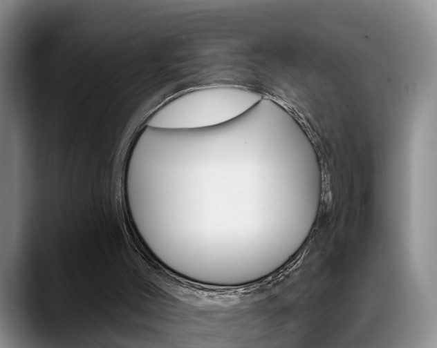 X0000089390004200706150940