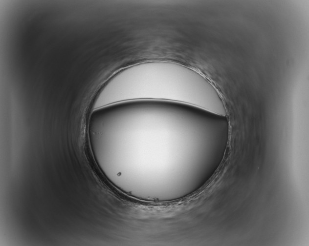 X0000089390005200706150940
