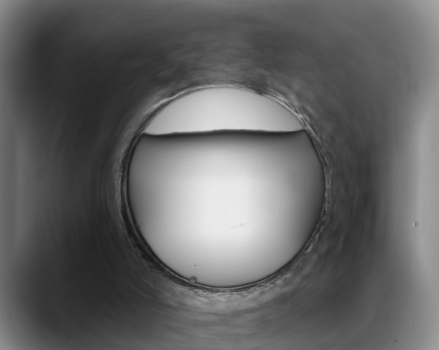 X0000089390006200706150940