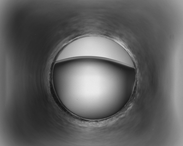 X0000089390007200706150940