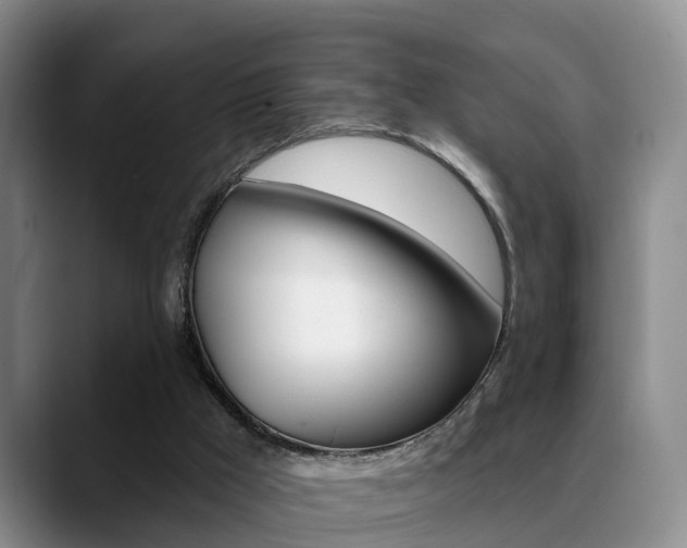 X0000089390009200706150940