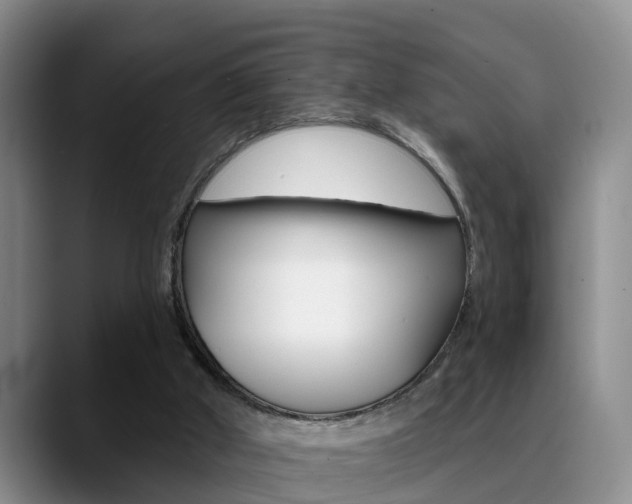 X0000089390010200706150940