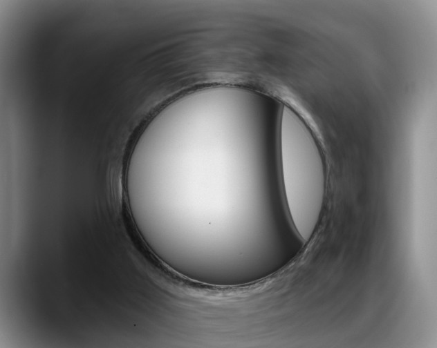 X0000089390011200706150940