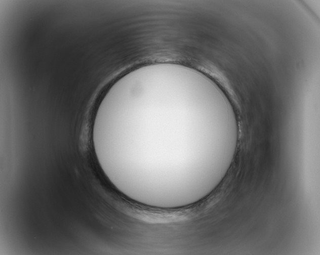 X0000089390012200706150940