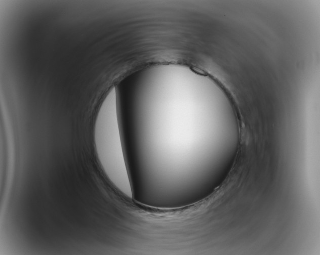 X0000089390013200706150940