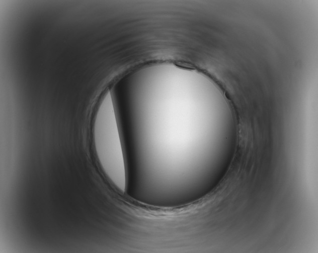 X0000089390015200706150940