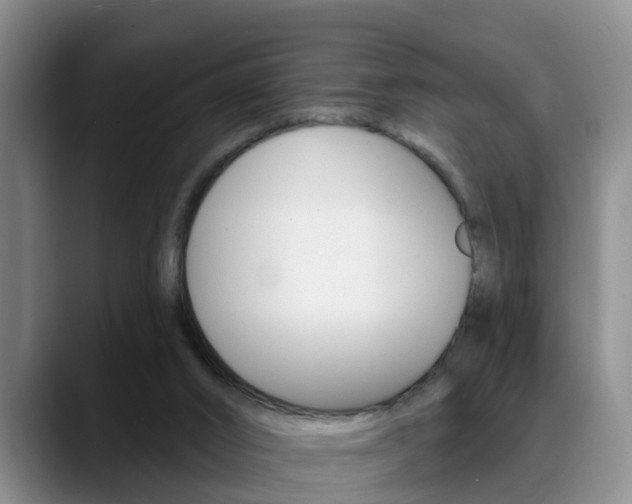 X0000089390016200706150940