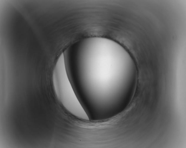X0000089390017200706150940
