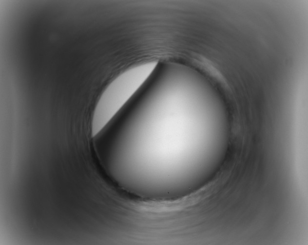 X0000089390025200706150940