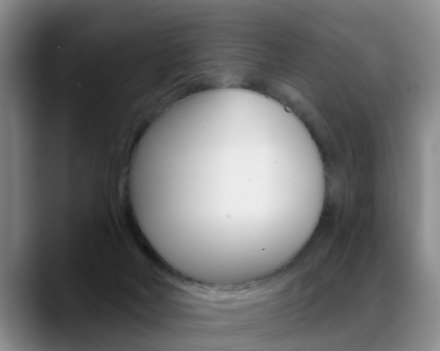 X0000089390026200706150940