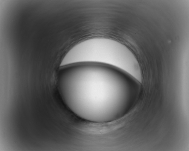 X0000089390029200706150940