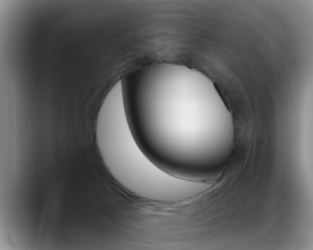 X0000089390033200706150940