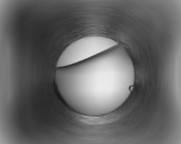 X0000089390034200706150940