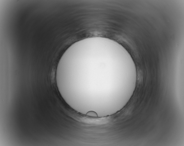 X0000089390036200706150940