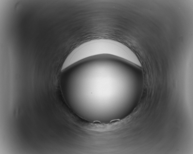 X0000089390037200706150940