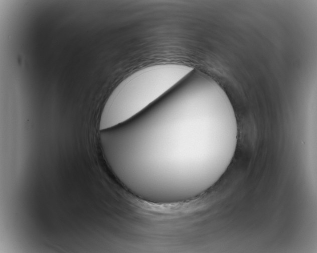 X0000089390038200706150940