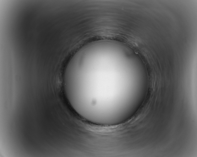 X0000089390040200706150940