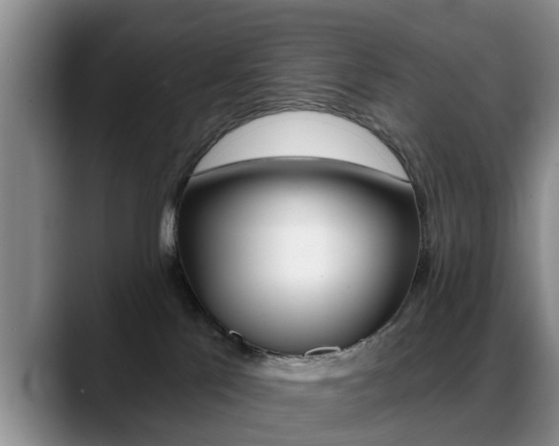 X0000089390041200706150940