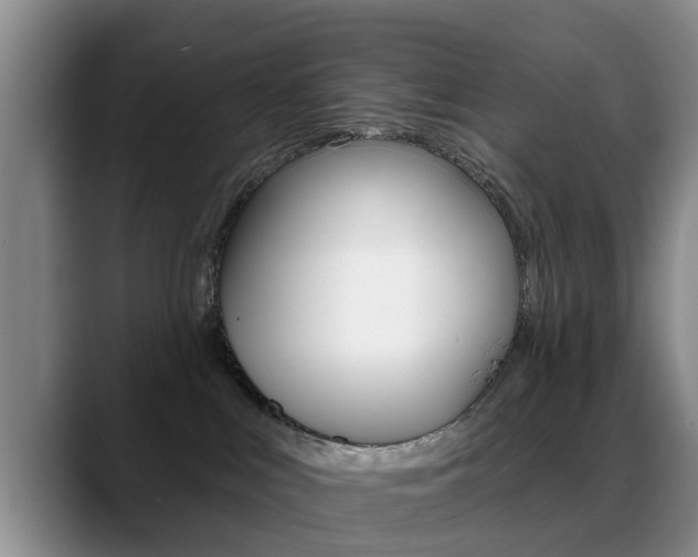 X0000089390043200706150940