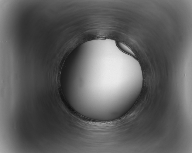 X0000089390044200706150940