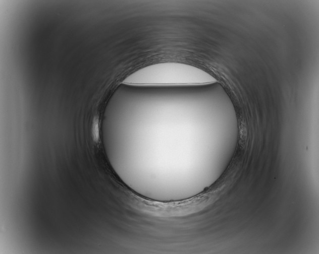 X0000089390046200706150940