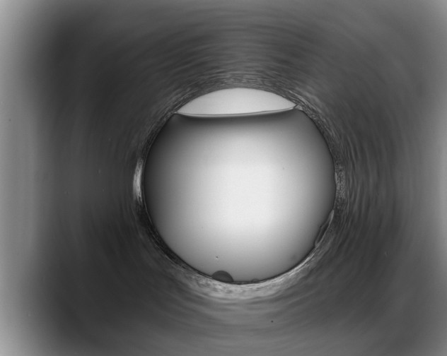 X0000089390047200706150940
