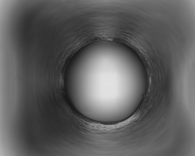 X0000089390048200706150940