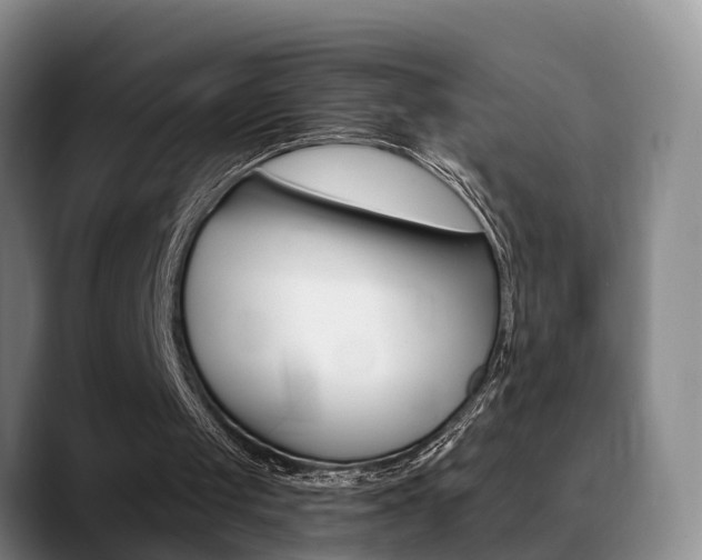 X0000089390049200706150939