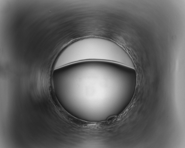 X0000089390050200706150939