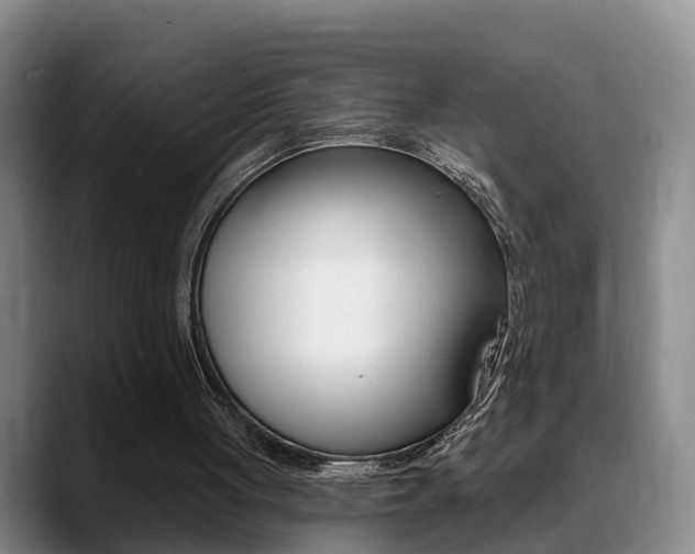 X0000089390051200706150939