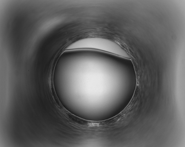 X0000089390052200706150939