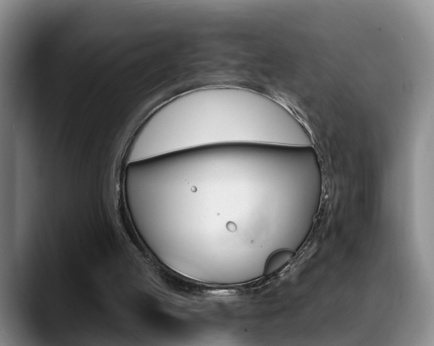X0000089390053200706150939