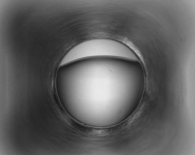 X0000089390057200706150939
