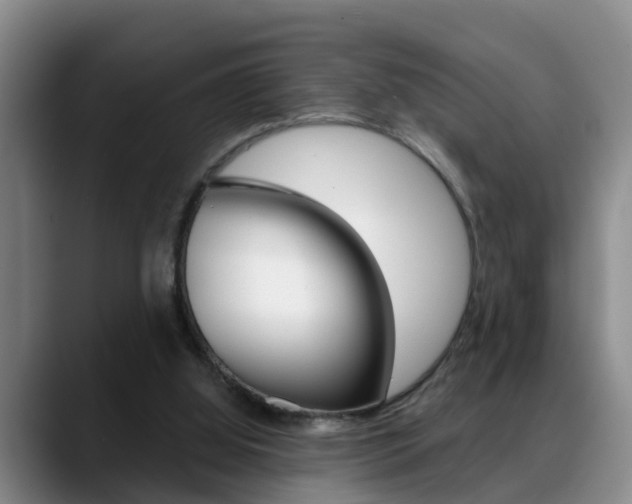 X0000089390060200706150939