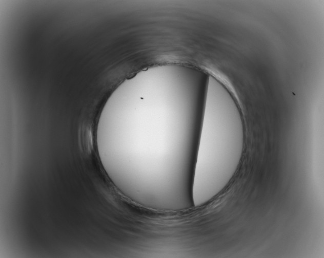 X0000089390061200706150939