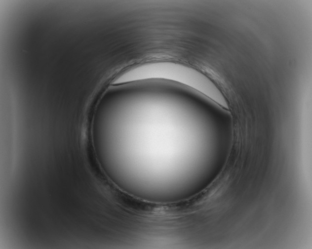X0000089390064200706150939