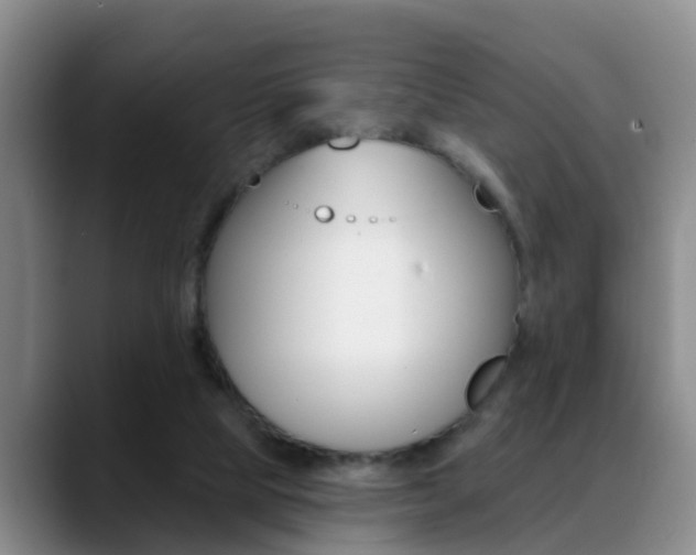X0000089390065200706150939