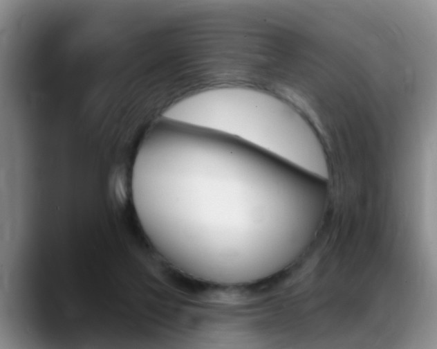 X0000089390069200706150939