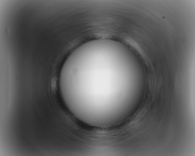 X0000089390071200706150939