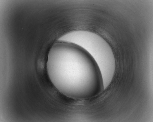 X0000089390072200706150940