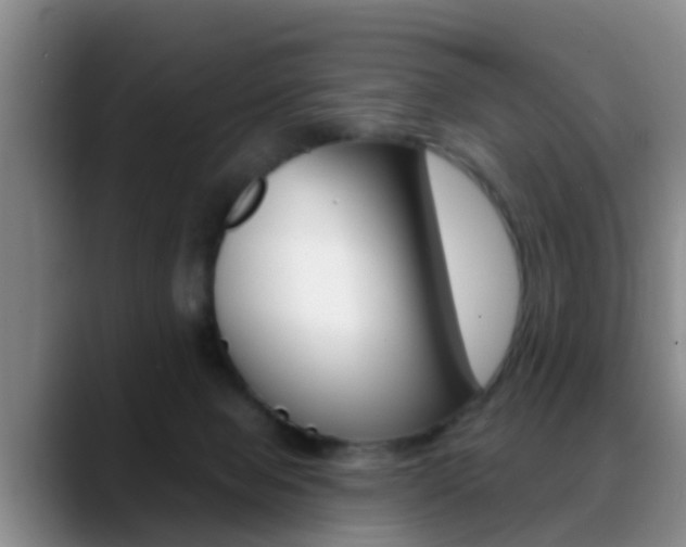 X0000089390077200706150940