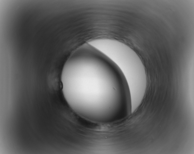 X0000089390080200706150940