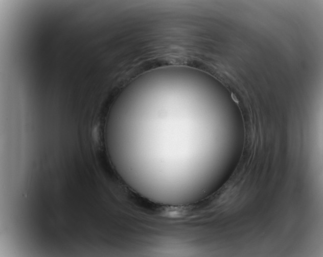 X0000089390088200706150940